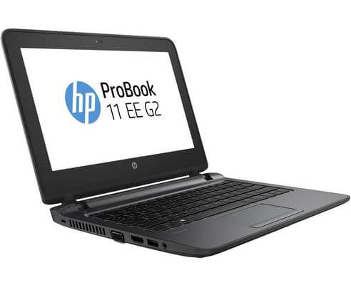 Замена матрицы на ноутбуке HP ProBook 11 EE G2 T6Q68EA
